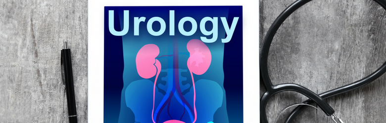 urology graphic on an ipad