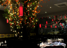 yang sing cathay interior of restaurant with tree and lights
