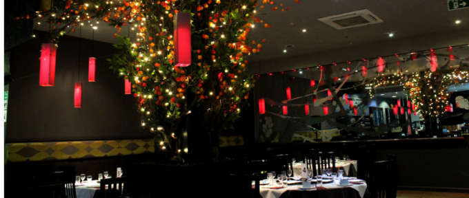 yang sing cathay interior of restaurant with tree and lights
