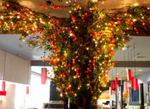 yang sing cathay restaurant interior of tree