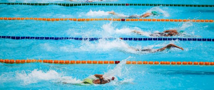 4 swimmers in lanes for swimming race