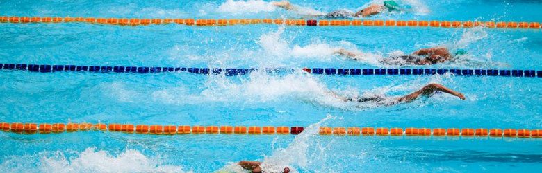 4 swimmers in lanes for swimming race