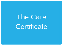 the care certificate text graphic