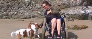 woman in wheelchair with 2 dogs on the beach