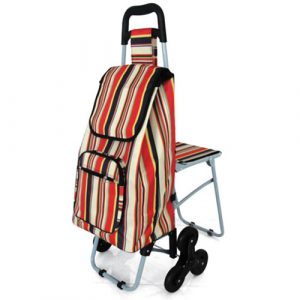 Shopping trolley with chair